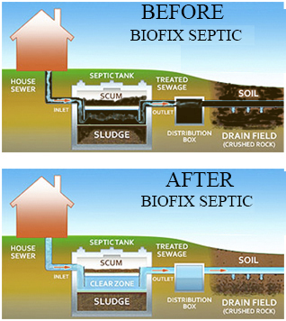 Trước và sau khi dùng BIOFIX SEPTIC